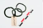 Foto von Bronzering (NHMW-PRAE-024356)